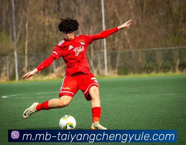 多媒体互动体验