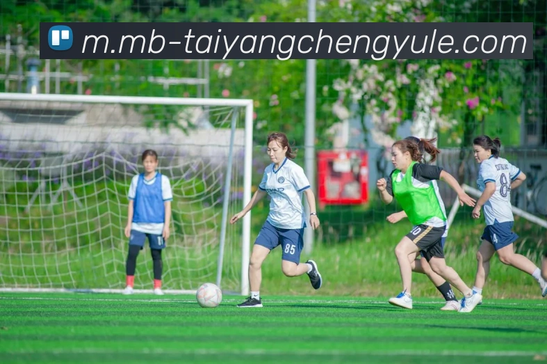 澳门太阳城官网APP 体育赛事宣传图